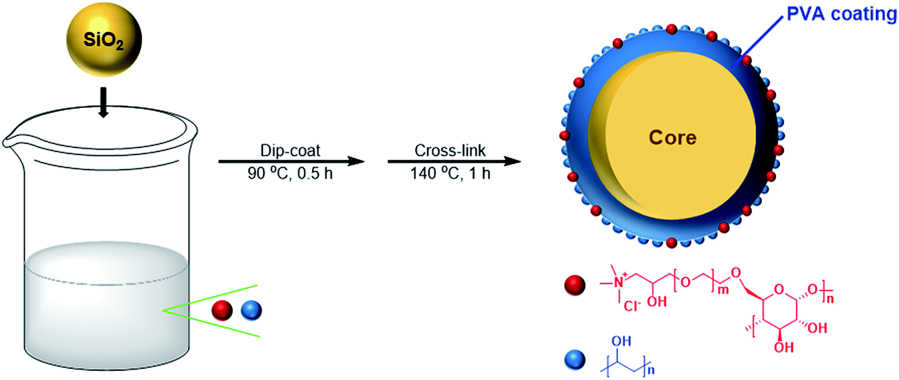 Poly(vinyl alcohol)–cationic cellulose copolymer encapsulated SiO 2  stationary phase for hydrophilic interaction liquid chromatography - RSC  Advances (RSC Publishing) DOI:10.1039/C7RA01958K