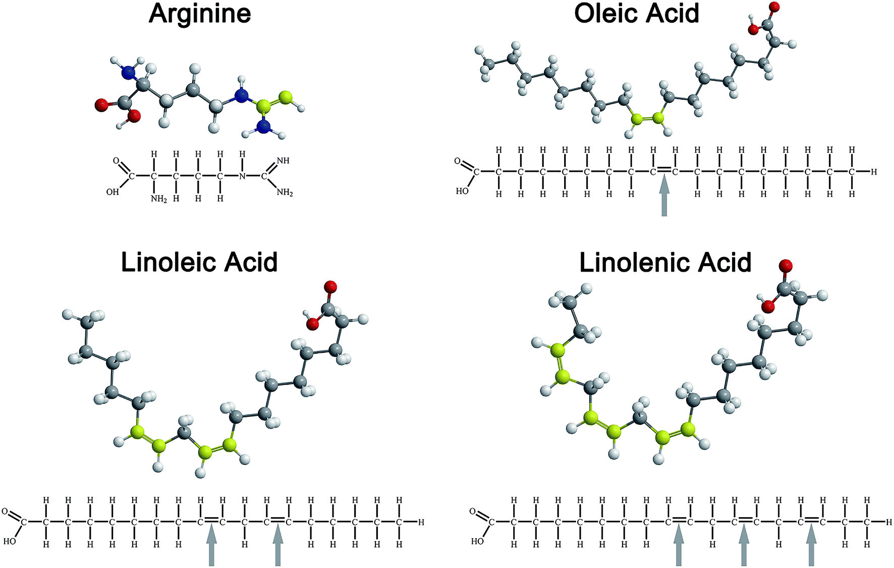 hydrophobic amino acids in aqueous solutions
