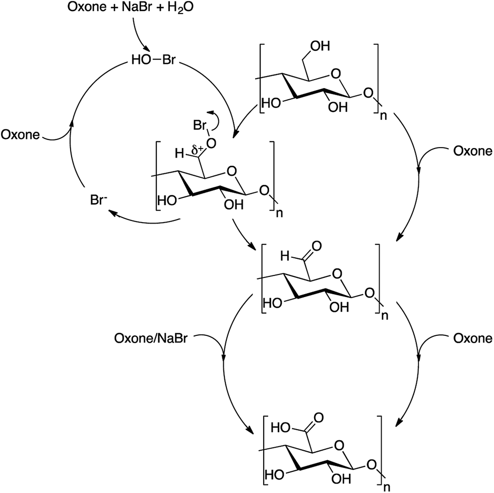 Favored surface limited oxidation of cellulose with Oxone  