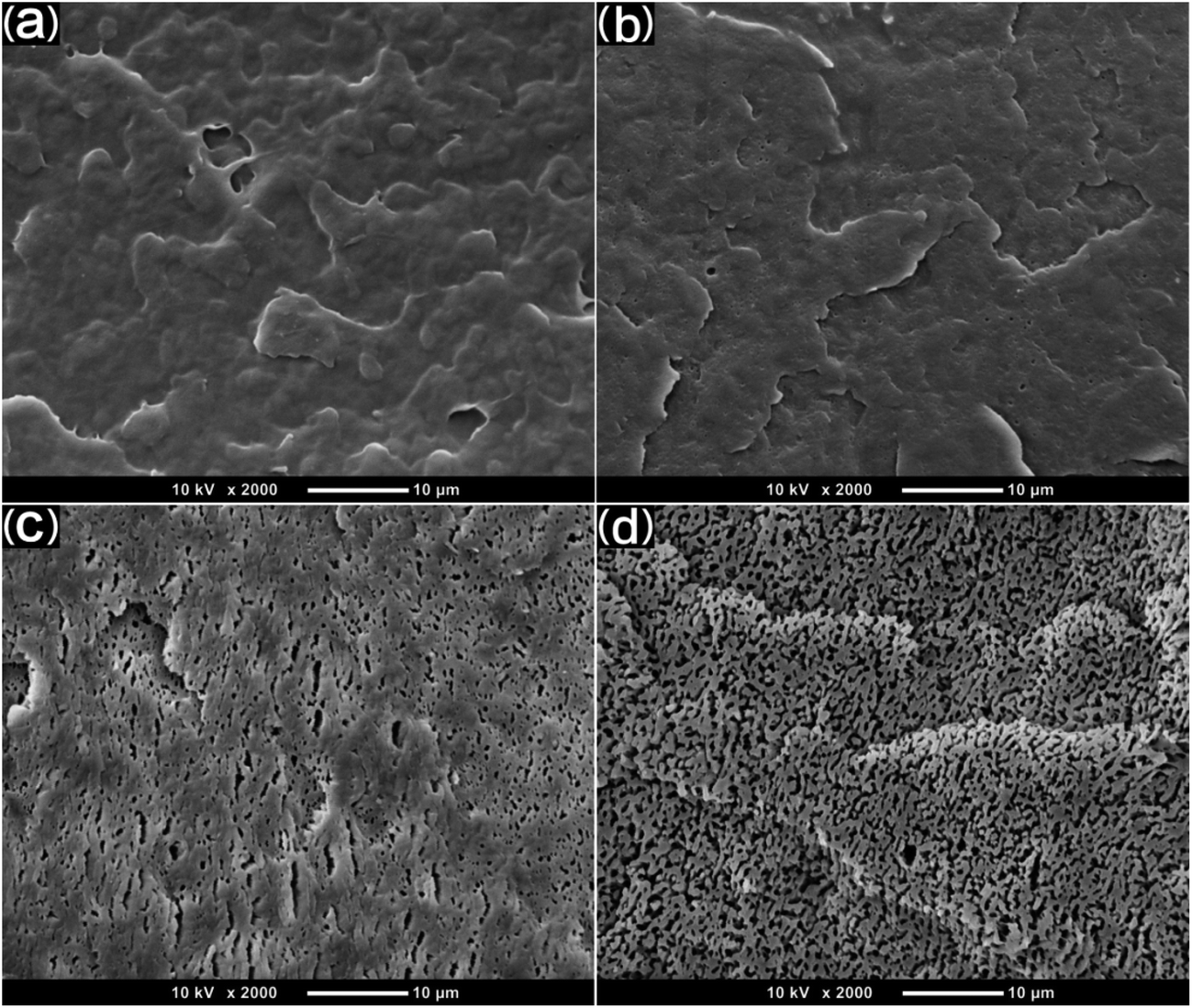 Fabrication Of Poly E Caprolactone Tissue Engineering Scaffolds With Fibrillated And Interconnected Pores Utilizing Microcellular Injection Molding A Rsc Advances Rsc Publishing Doi 10 1039 C7raa