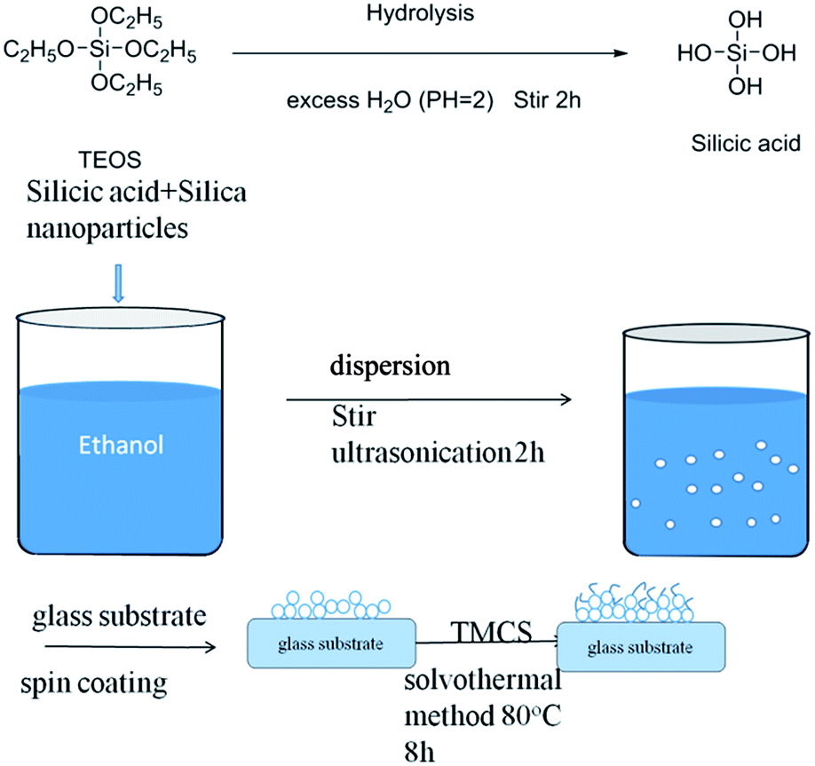 Eco-Friendly Fabrication of Transparent Superhydrophobic Coating with  Excellent Mechanical Robustness, Chemical Stability, and Long-Term Outdoor  Durability