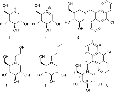 carbenium ion图片