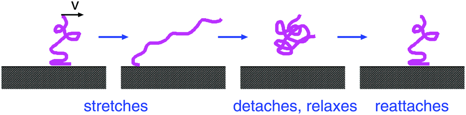 Rubber Contact Mechanics Adhesion Friction And Leakage Of Seals Soft Matter Rsc Publishing Doi 10 1039 C7sm038d