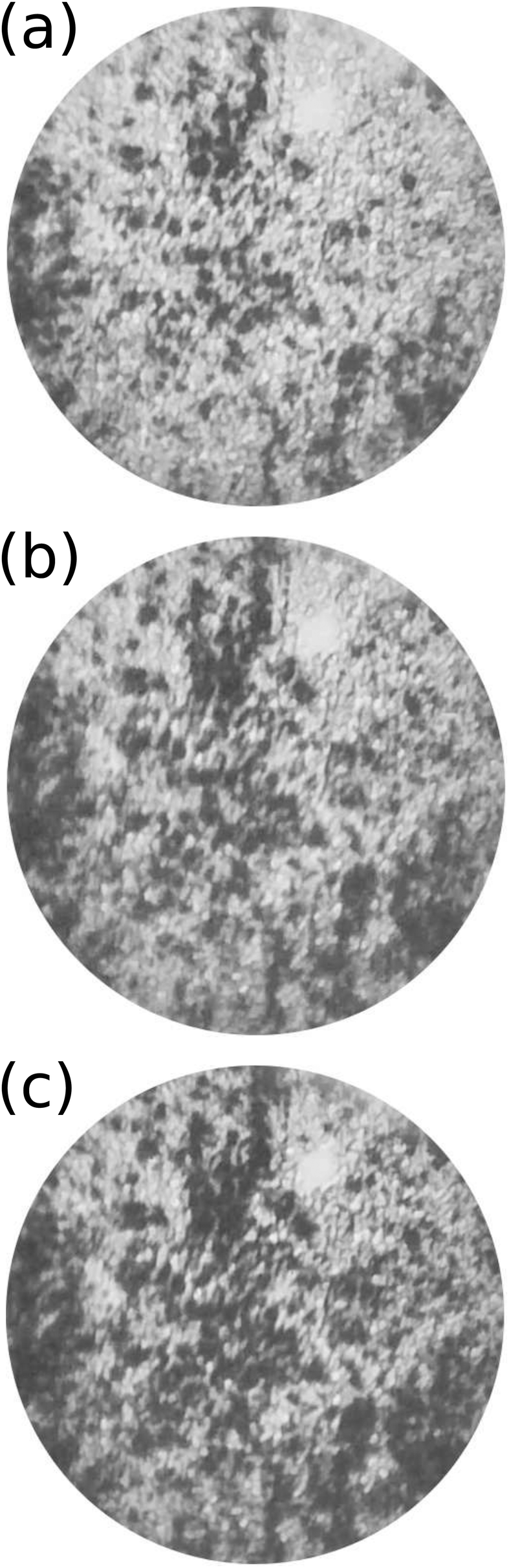 Rubber Contact Mechanics Adhesion Friction And Leakage Of Seals Soft Matter Rsc Publishing Doi 10 1039 C7sm038d