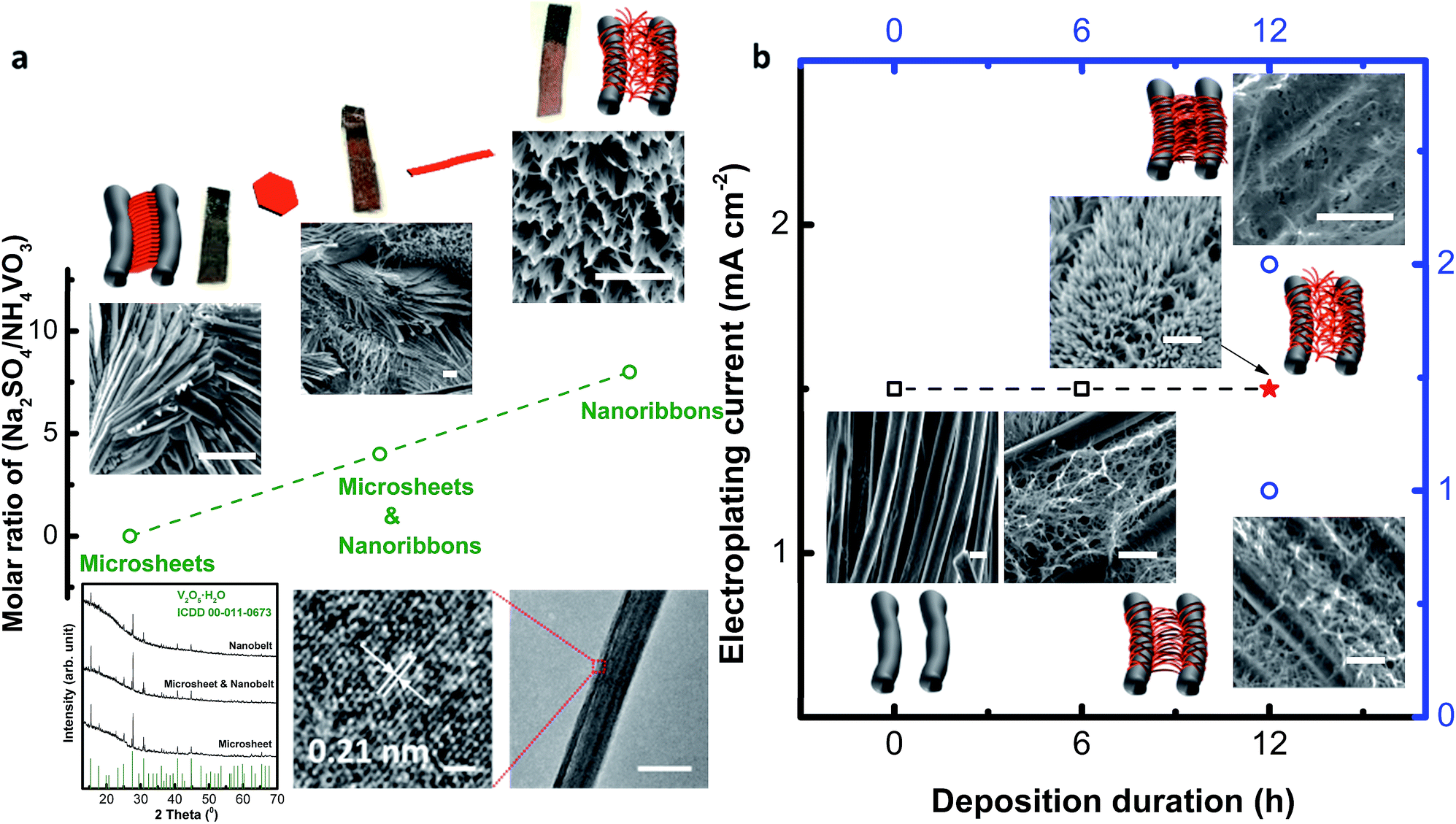 Biomimicry of Cuscuta electrode design endows hybrid capacitor with  ultrahigh energy density exceeding 2 mW h cm −2 at a power delivery of 25  mW cm −2 ... - Journal of Materials