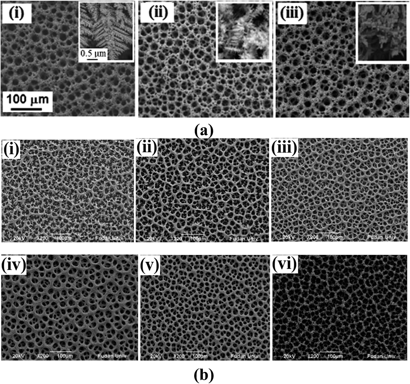 Hierarchically 3D porous films electrochemically constructed