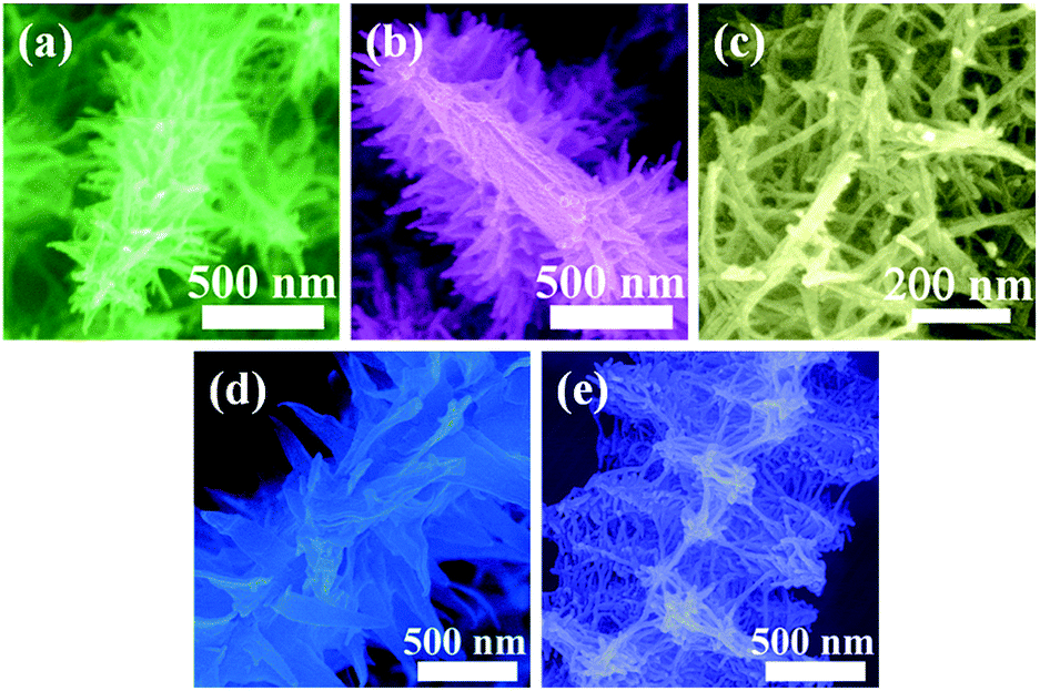 Recent advances in hierarchical three-dimensional titanium dioxide 