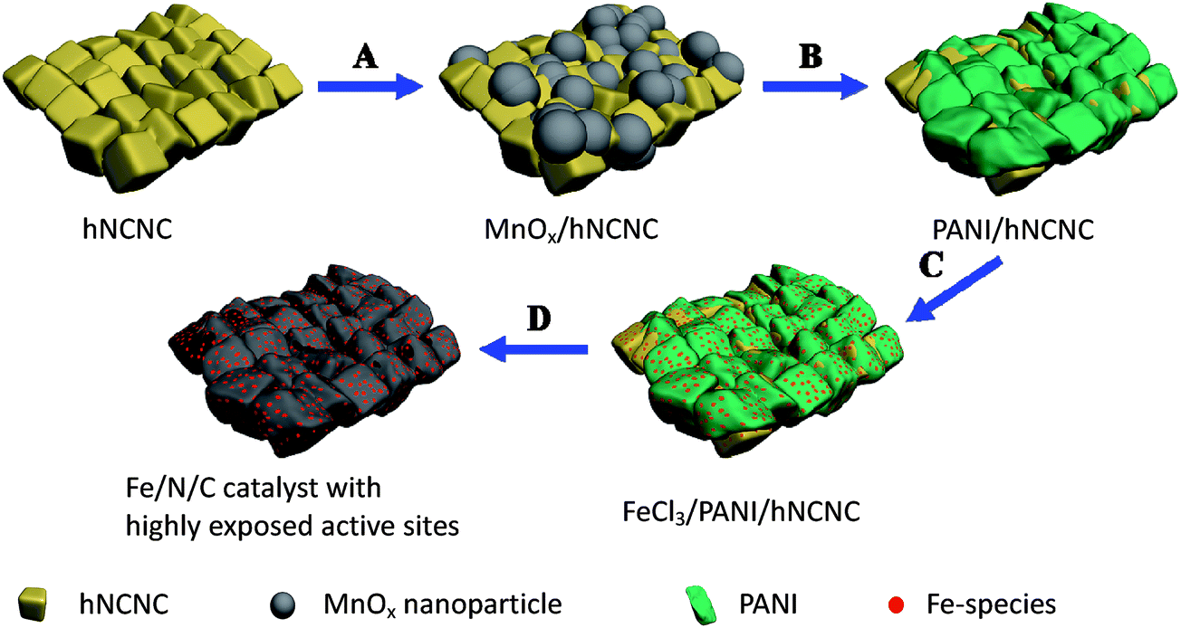 Recent advances in Fe (or Co)/N/C electrocatalysts for the oxygen 
