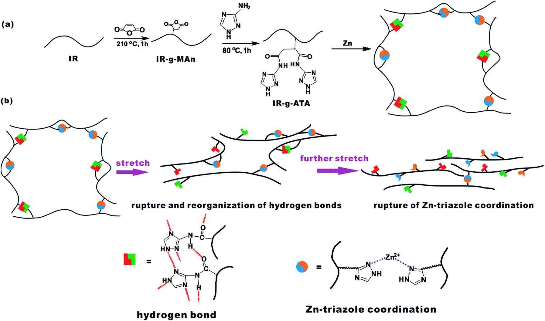 An advanced elastomer with an unprecedented combination of 