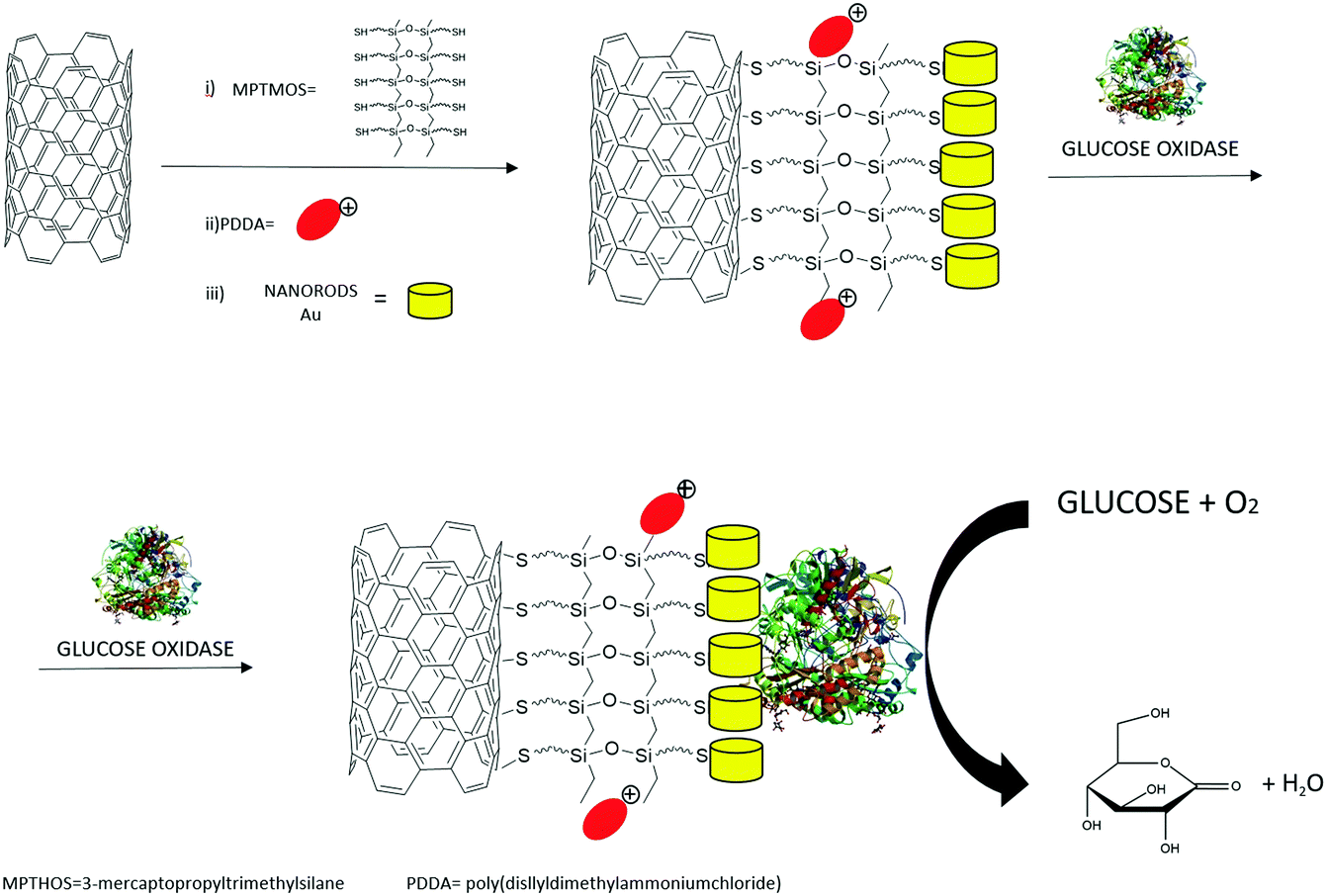 Advances in biotechnological synthetic applications of carbon 