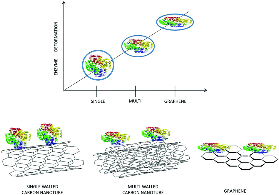 Advances in biotechnological synthetic applications of carbon 