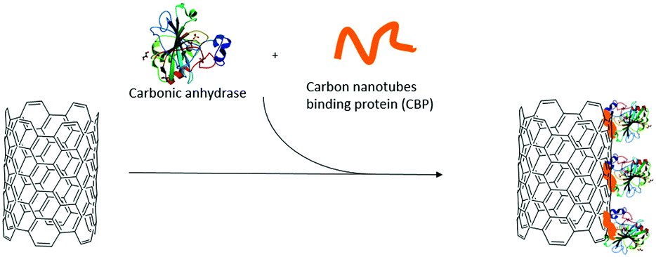 Advances in biotechnological synthetic applications of carbon 