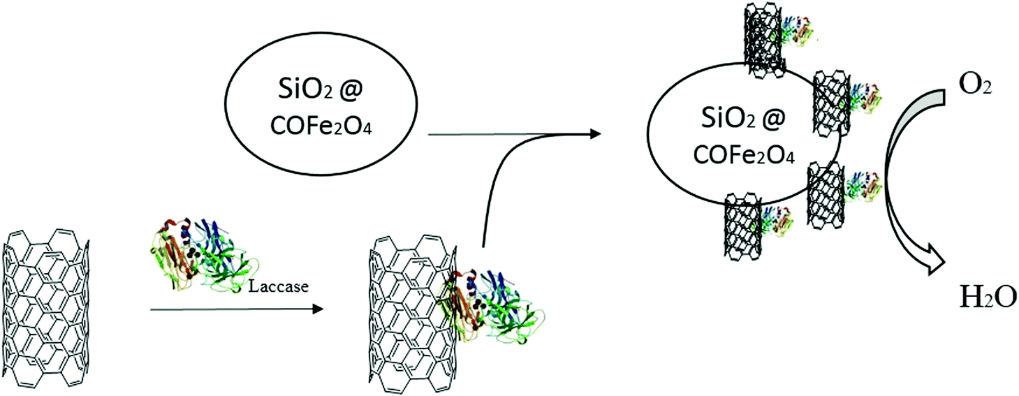 Advances in biotechnological synthetic applications of carbon 