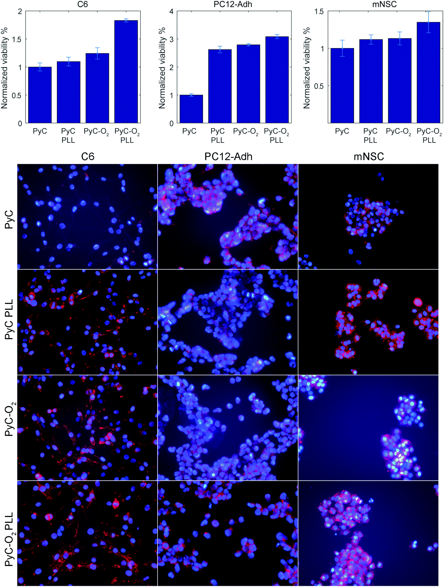 SU-8 based pyrolytic carbon for the electrochemical detection of