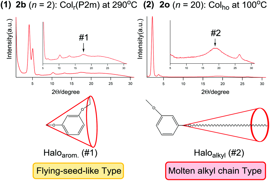 Phthalocyanine Based Discotic Liquid Crystals Switching From A Molten Alkyl Chain Type To A Flying Seed Like Type Journal Of Materials Chemistry C Rsc Publishing Doi 10 1039 C7tck