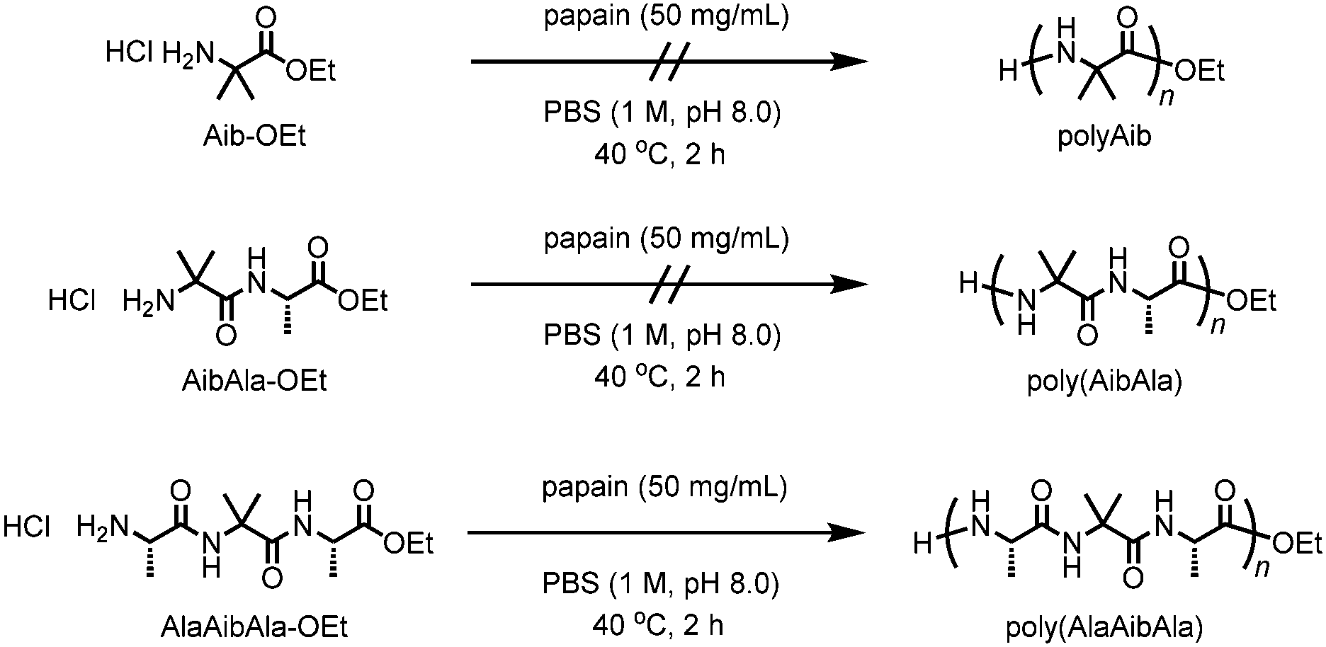 Chemoenzymatic Synthesis Of Polypeptides Containing The Unnatural Amino