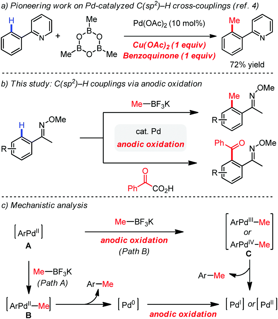 Palladium Catalyzed C H Activation C C Cross Coupling Reactions Via Electrochemistry Chemical Communications Rsc Publishing