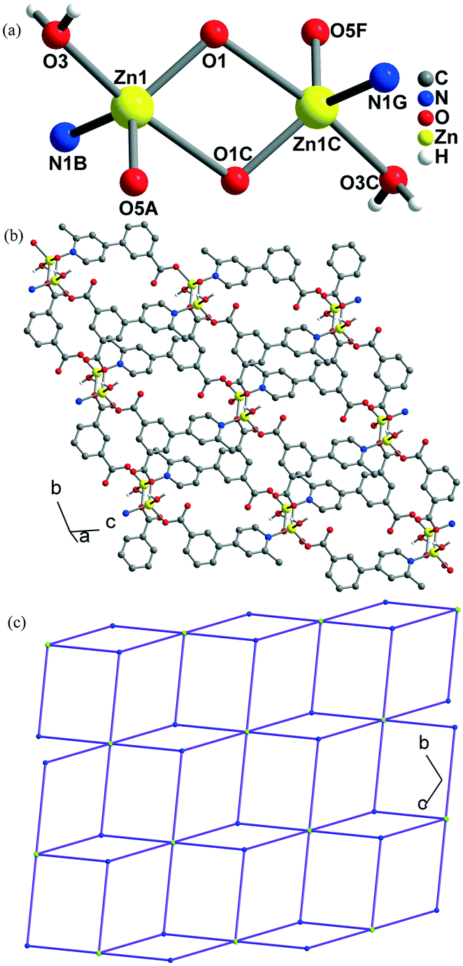 Four Coordination Polymers Based On Dinuclear And Trinuclear Units With A New Multifunctional Pyridyl Dicarboxylate Ligand Luminescence And Magnetic Properties Crystengcomm Rsc Publishing