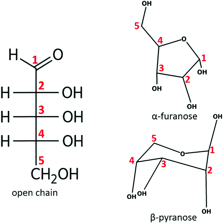 Anionic Ribose Related Species Explored Through Pes Experiments Dft Calculations And Through Comparison With Anionic Fructose Species Physical Chemistry Chemical Physics Rsc Publishing