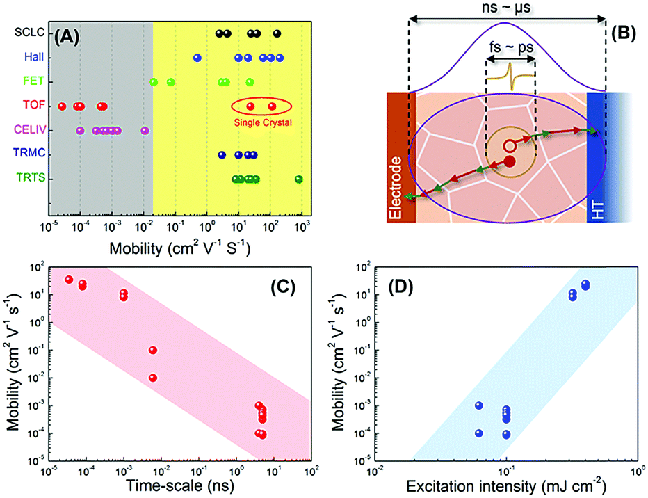 Insights into charge carrier dynamics in organometal halide