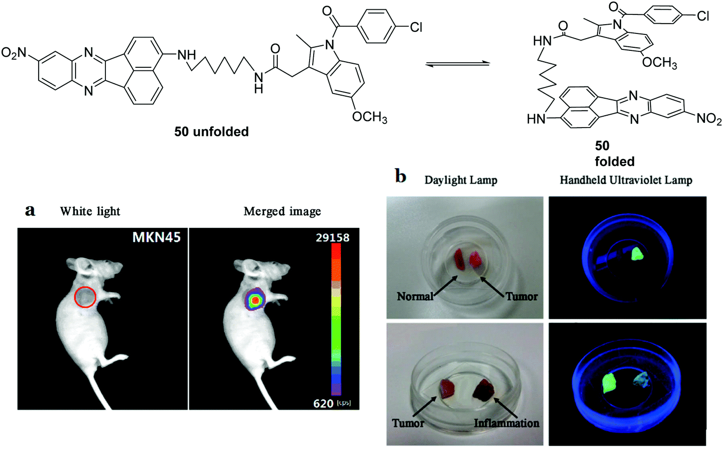 Fluorescent Chemosensors The Past Present And Future Chemical Society Reviews RSC