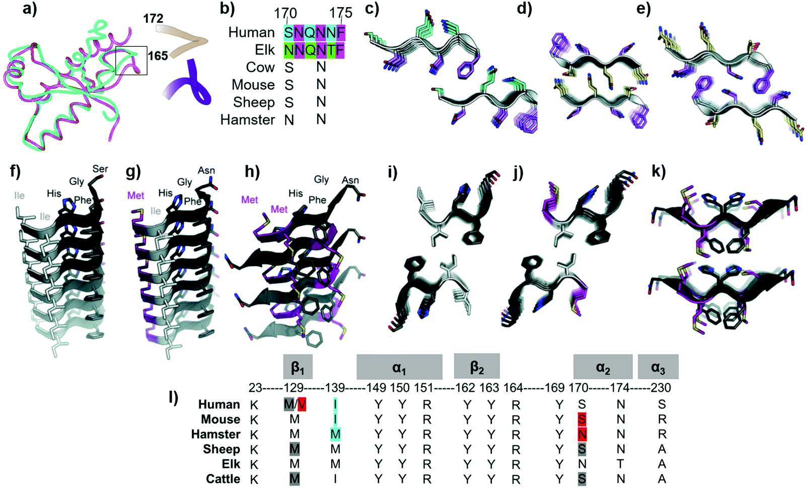 Implications Of Peptide Assemblies In Amyloid Diseases Chemical Society Reviews Rsc Publishing