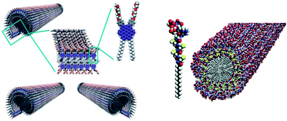 From supramolecular polymers to multi-component biomaterials - Chemical ...