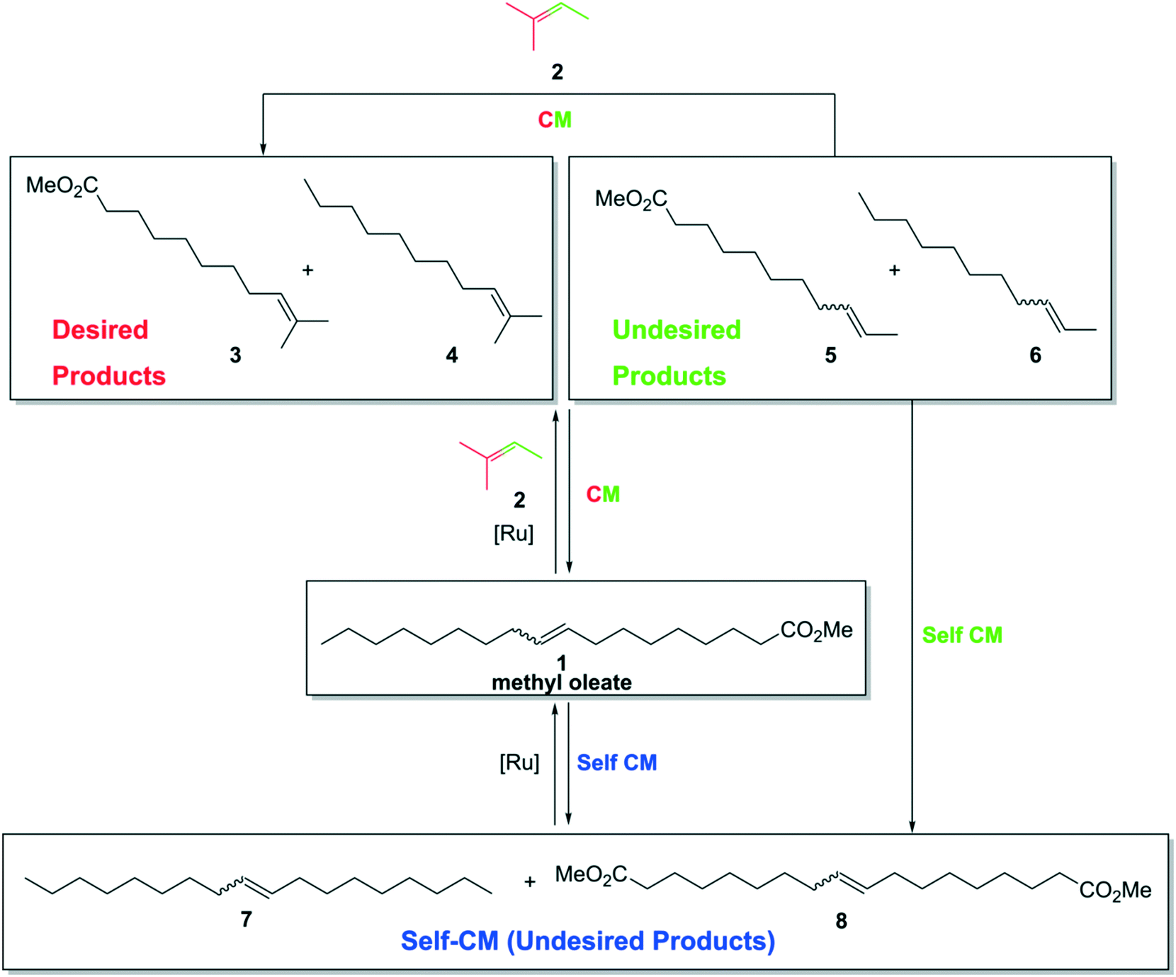 Fishing For The Right Catalyst For The Cross Metathesis Reaction Of