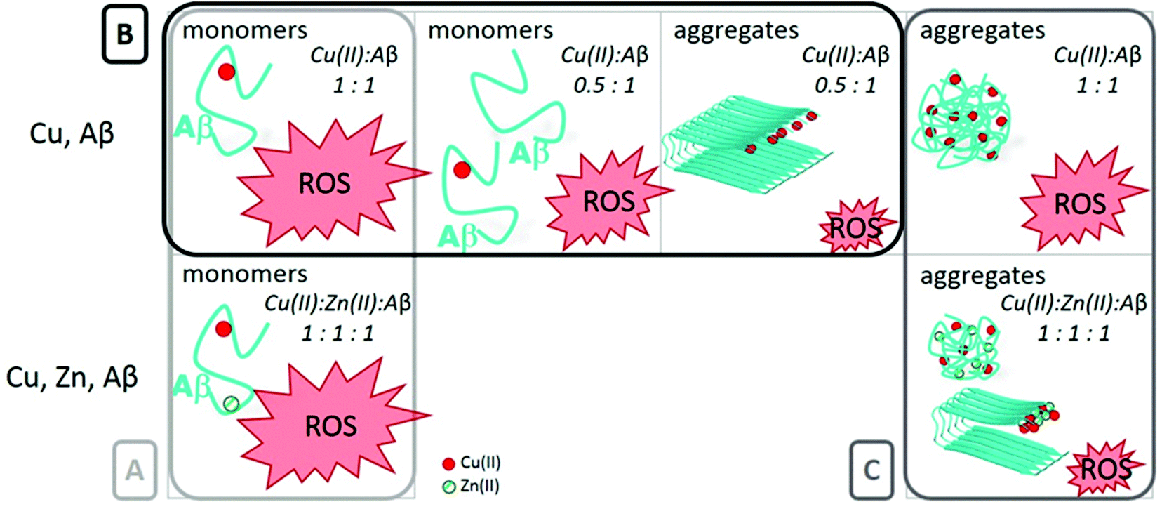 Mutual Interference Of Cu And Zn Ions In Alzheimer S Disease Perspectives At The Molecular Level Dalton Transactions Rsc Publishing