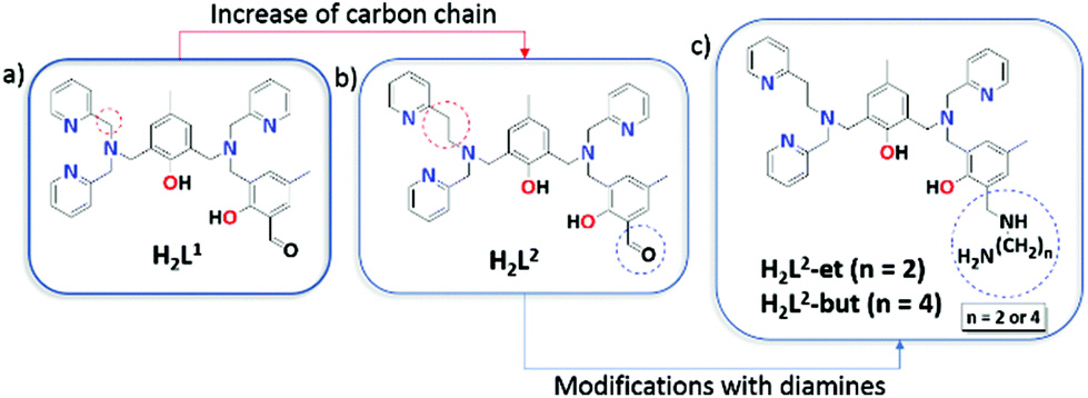 Synthesis And Characterization Of Feiii M Oh Znii Complexes Effects Of A Second Coordination Sphere And Increase In The Chelate Ring Size On The Hydrolysis Of A Phosphate Diester And Dna Dalton Transactions Rsc