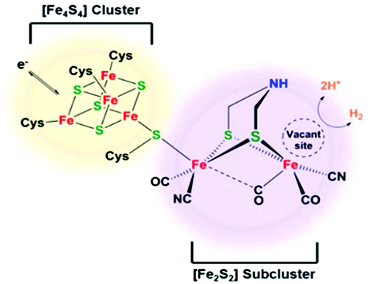 Fefe Hydrogenase H Cluster Mimics Mediated By Naphthalene Monoimide Derivatives Of Peri Substituted Dichalcogenides Dalton Transactions Rsc Publishing