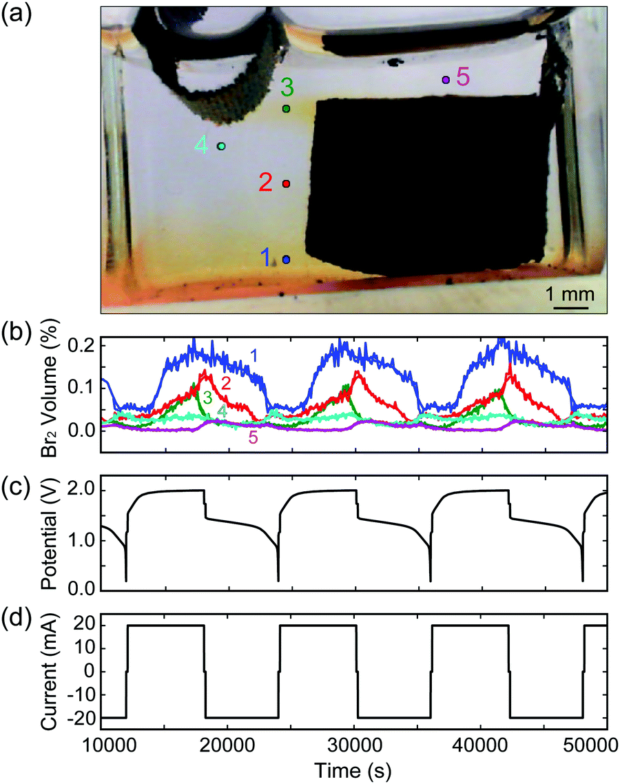 Minimal Architecture Zinc Bromine Battery For Low Cost Electrochemical Energy Storage Energy Environmental Science Rsc Publishing Minimal Architecture Zinc Bromine Battery For Low Cost Electrochemical Energy Storage Energy Environmental Science Rsc Publishing