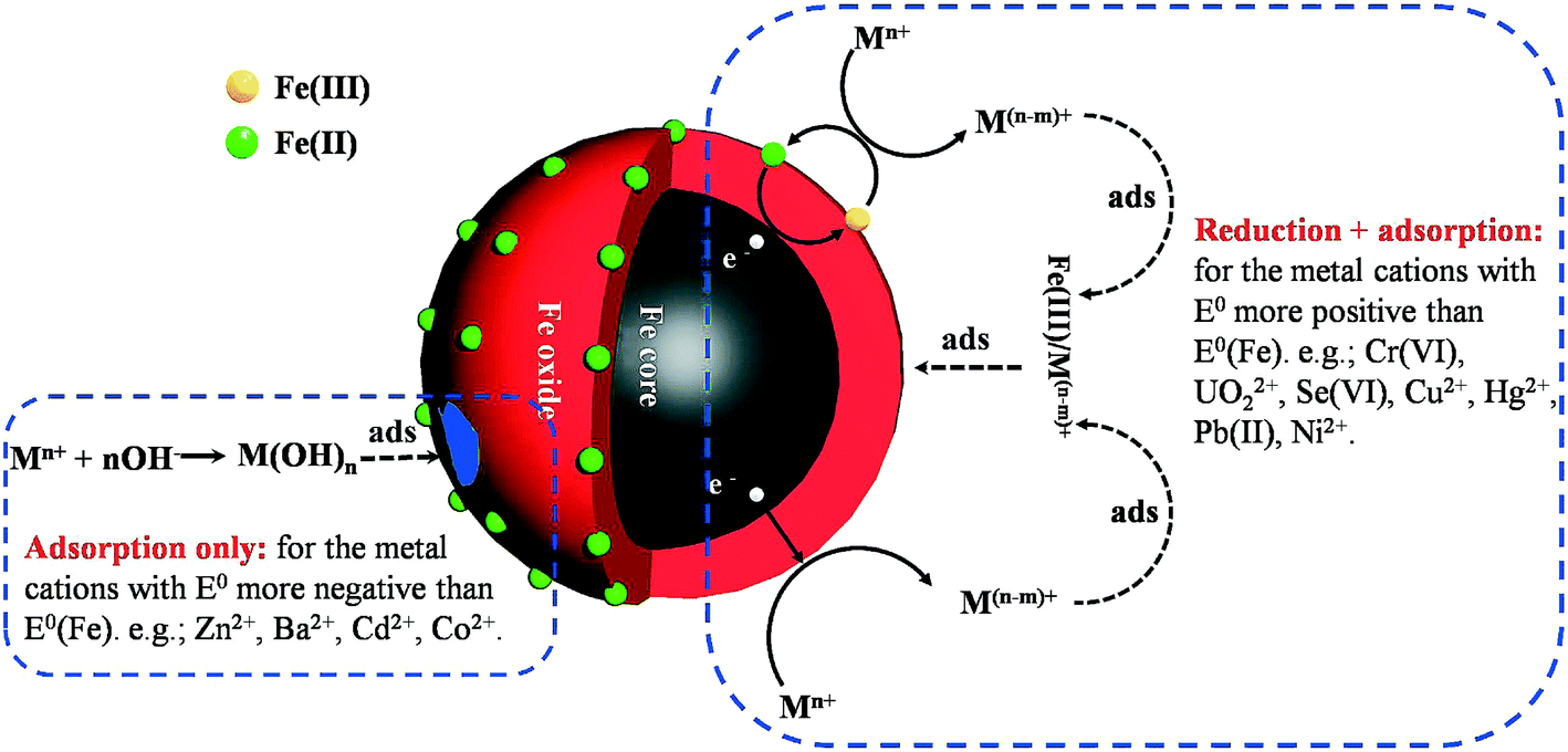 Iron Oxide Shell Mediated Environmental Remediation Properties Of Nano Zero Valent Iron Environmental Science Nano Rsc Publishing