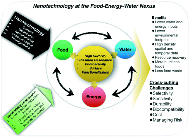 Nanotechnology For Sustainable Food Production Promising Opportunities And Scientific Challenges Environmental Science Nano Rsc Publishing