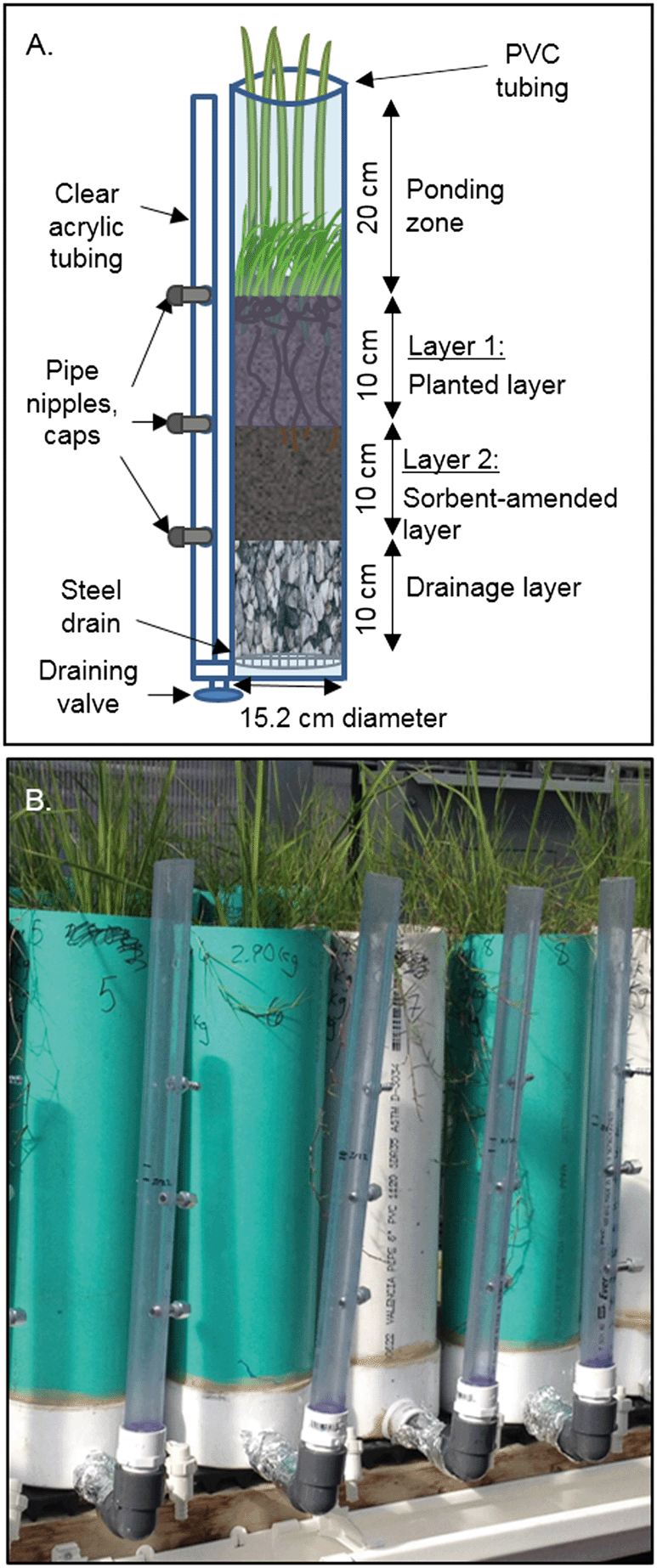 Improved Contaminant Removal In Vegetated Stormwater Biofilters