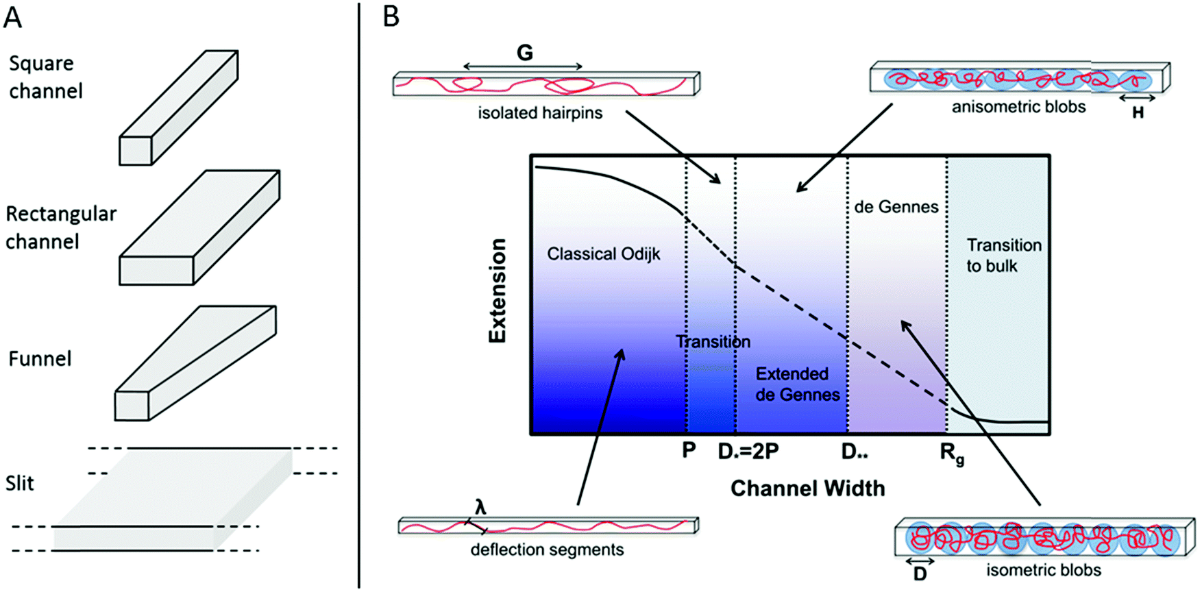 Exploring DNAprotein interactions on the single DNA molecule level