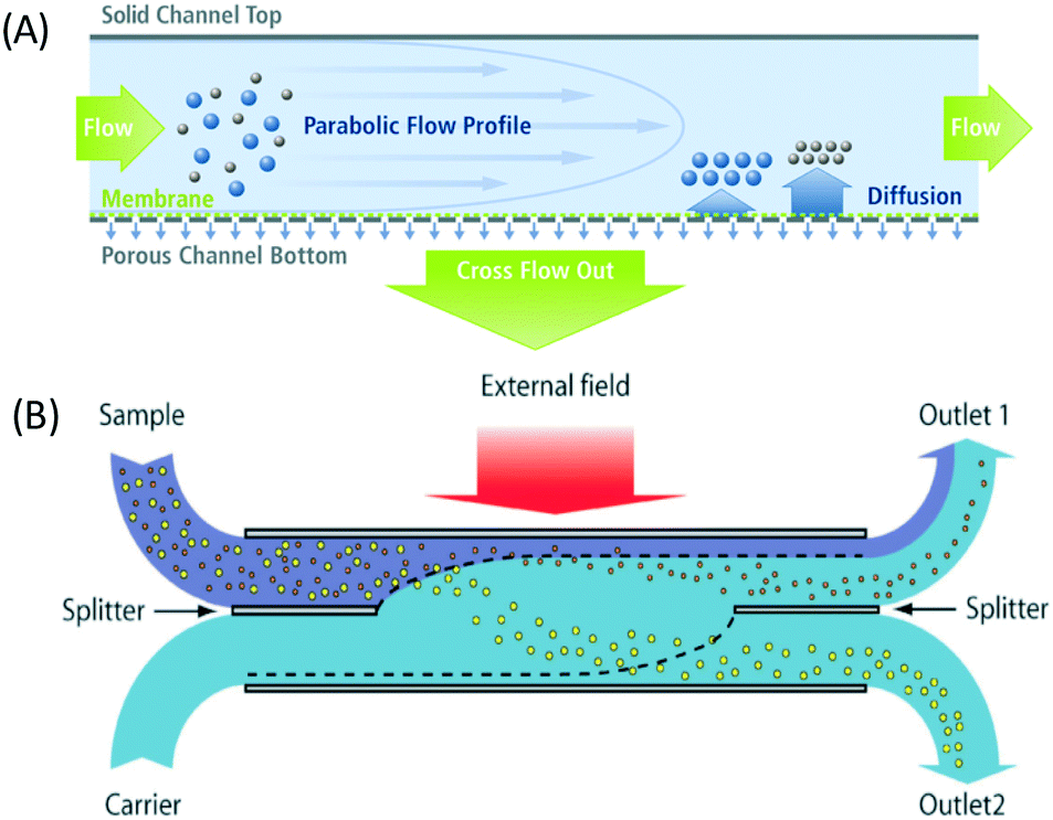 Flow field. Parabolic Flow. FFF (Flow, field, fractionation).. Diffusion profile.