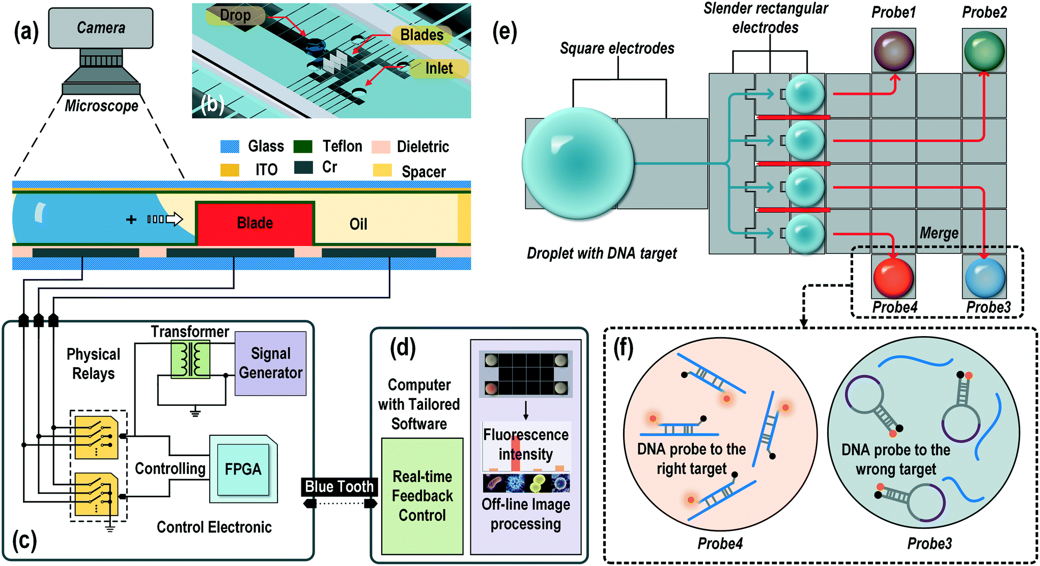 A 3D microblade structure for precise and parallel droplet splitting on