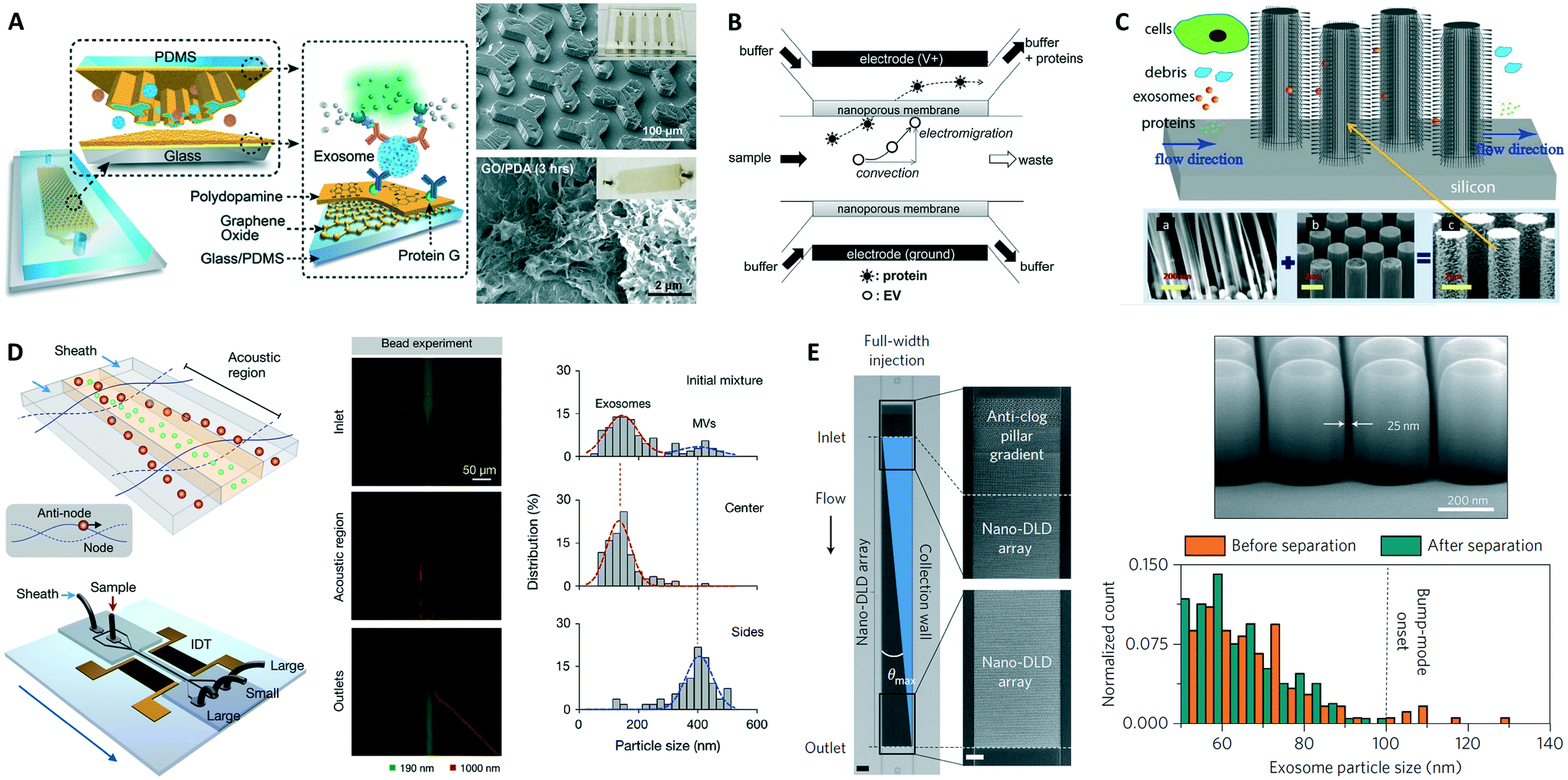 Microfluidics For Exosome Isolation And Analysis Enabling Liquid