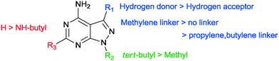 Discovery of a potent protein kinase D inhibitor: insights in the ...