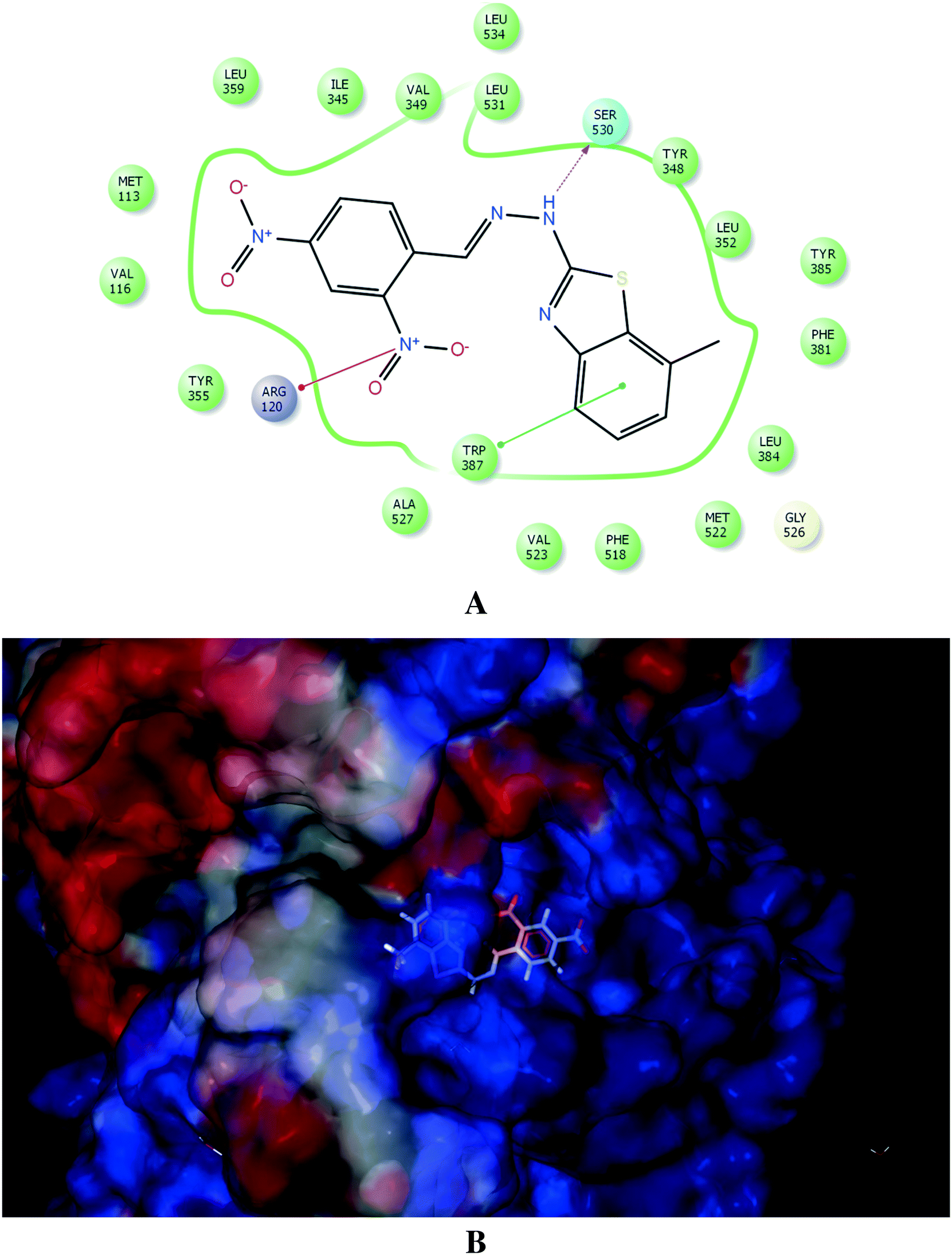 Synthesis of benzo[d]thiazole-hydrazone analogues: molecular docking and  SAR studies of potential H+/K+ ATPase inhibitors and anti-inflammatory  agents - MedChemComm (RSC Publishing)