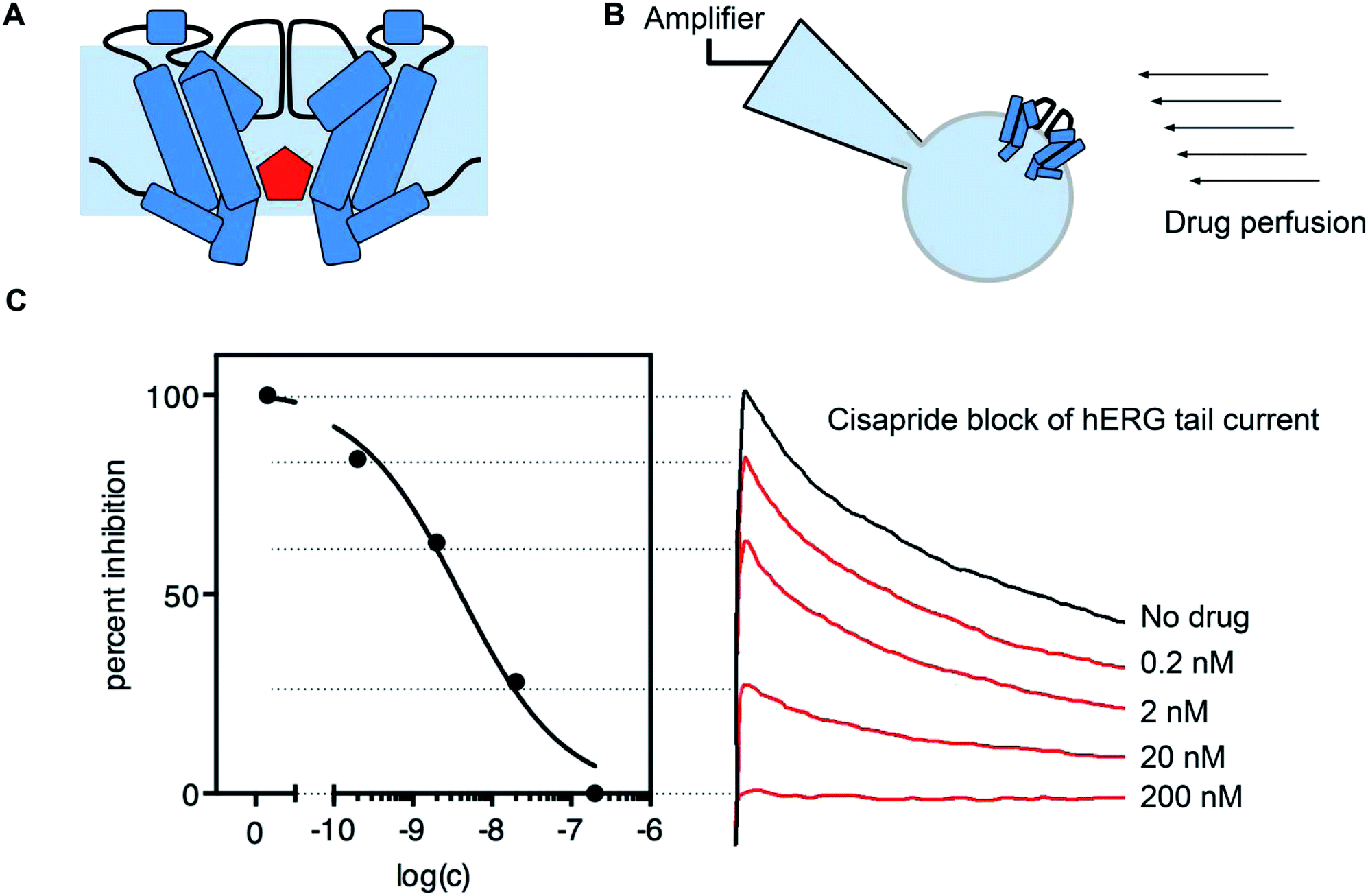 Current channel. Quirk-Amplifier drug.