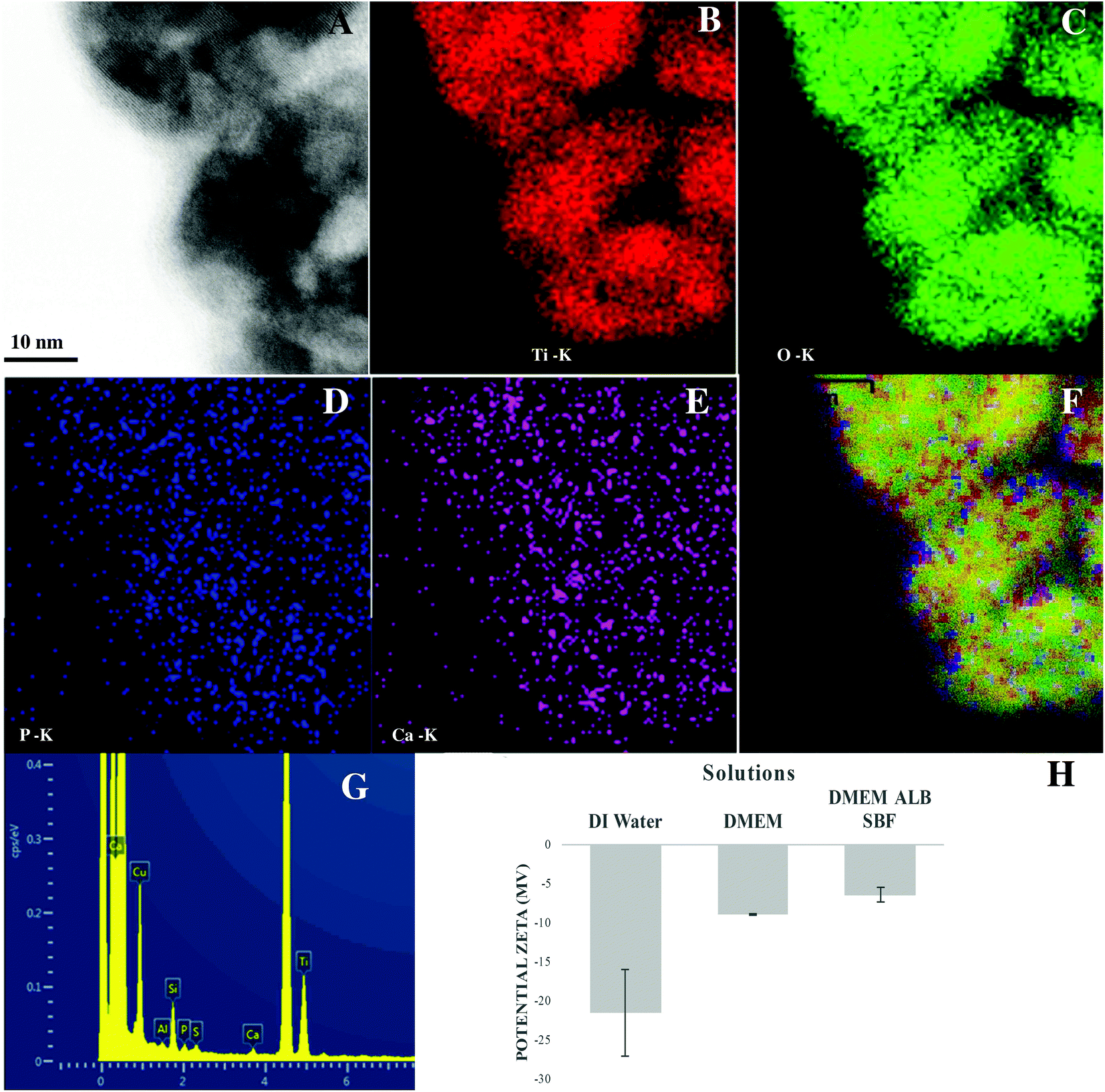 Bio Camouflage Of Anatase Nanoparticles Explored By In Situ High Resolution Electron Microscopy Nanoscale Rsc Publishing