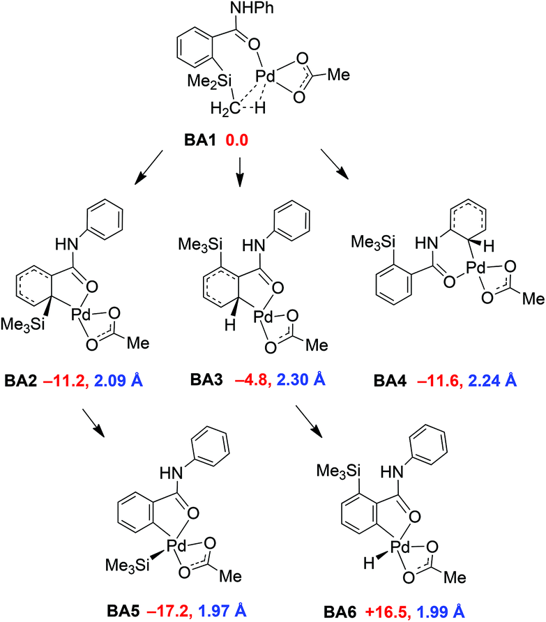 Mechanisms For C Sp2 Si Activation Of Aryltrimethylsilyl Groups In Palladium Catalysed Couplings Organic Biomolecular Chemistry Rsc Publishing