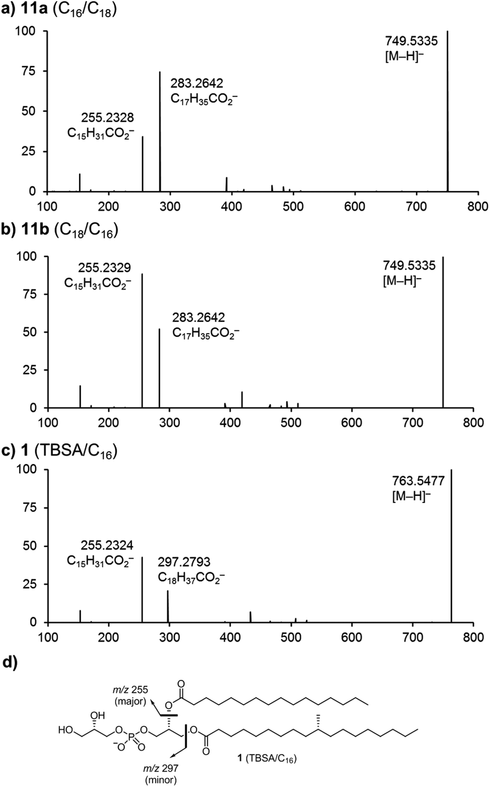 Total synthesis and mass spectrometric analysis of a Mycobacterium ...