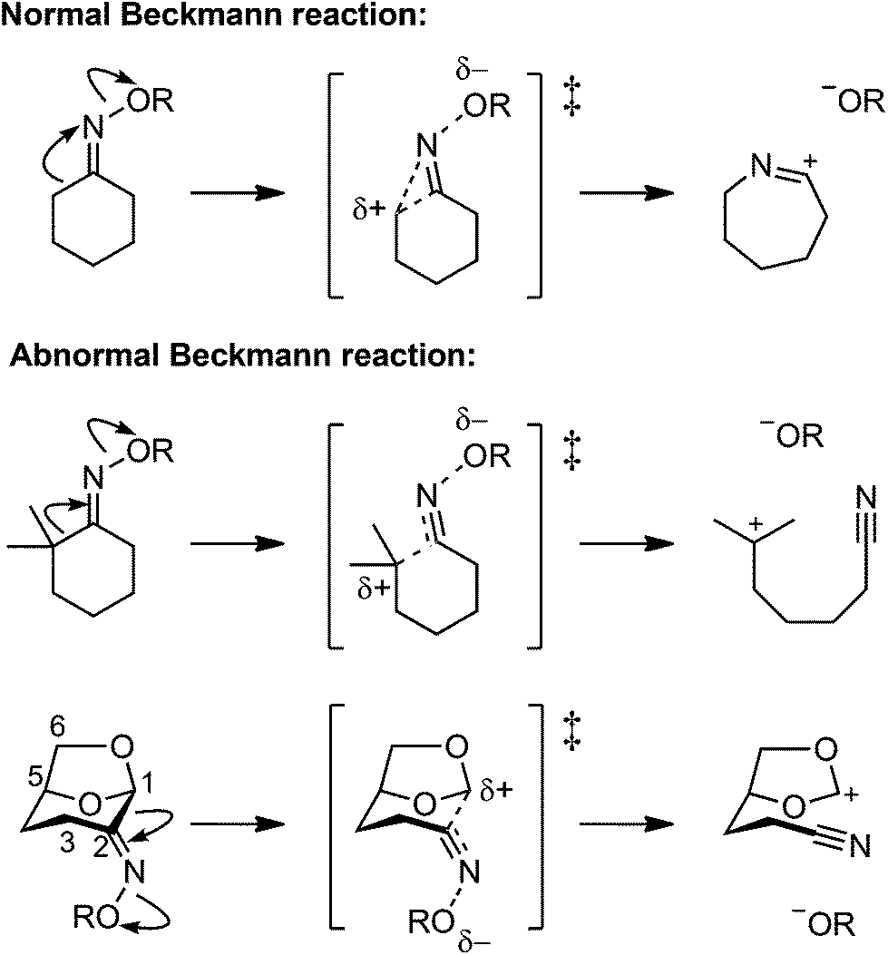 Structure–reactivity correlations of the abnormal Beckmann reaction dihydrolevoglucosenone oxime - & Biomolecular Chemistry (RSC Publishing)
