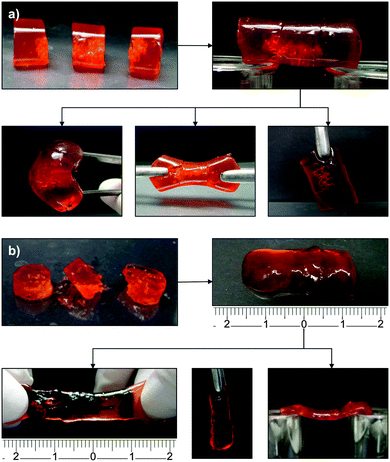 Self-healing alginate–gelatin biohydrogels based on dynamic covalent ...