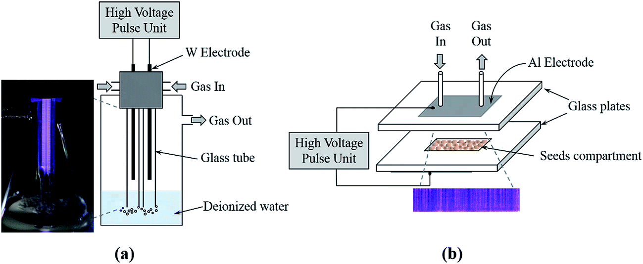 Enhanced seed germination and plant growth by atmospheric pressure cold