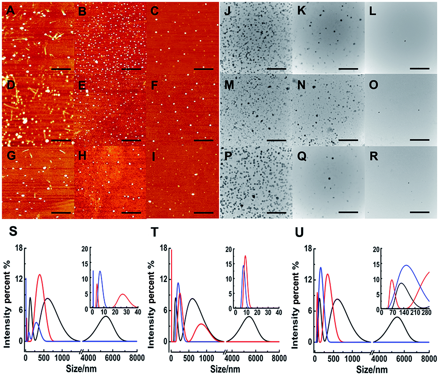 Binuclear Ruthenium Complexes Inhibit The Fibril Formation Of Human ...