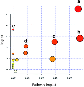 Metabolomics analysis reveals aminoquinazolin derivative 9d-induced ...